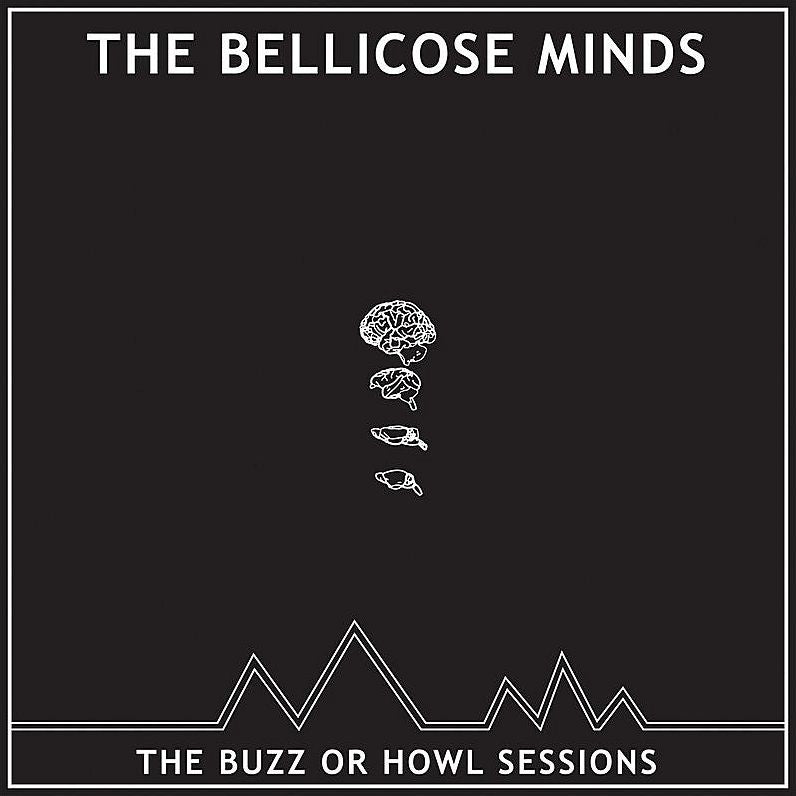 Buzz Or Howl Sessions