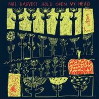 Hold Open My Head