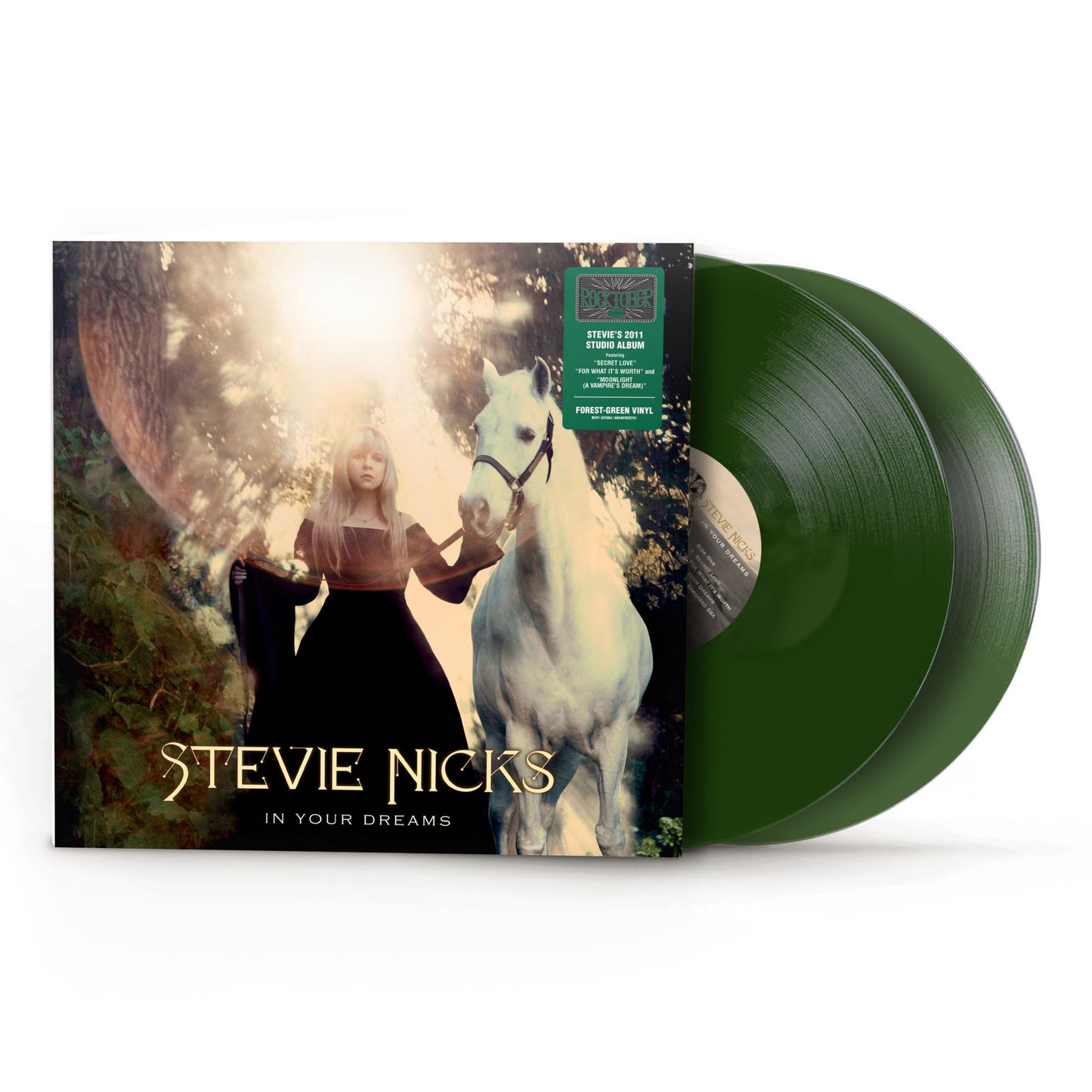 In Your Dreams (Stevie Nicks)