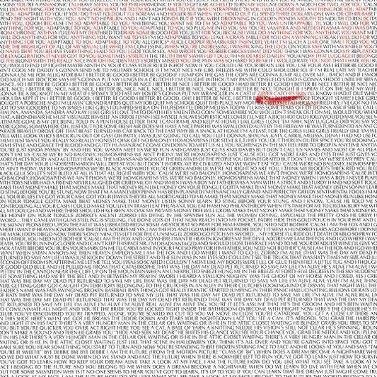 Zipper Catches Skin [Smoke Coloured Vinyl]