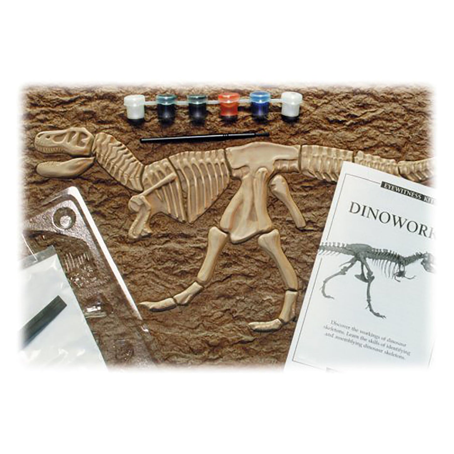 Eyewitness Kits- 19" T-Rex