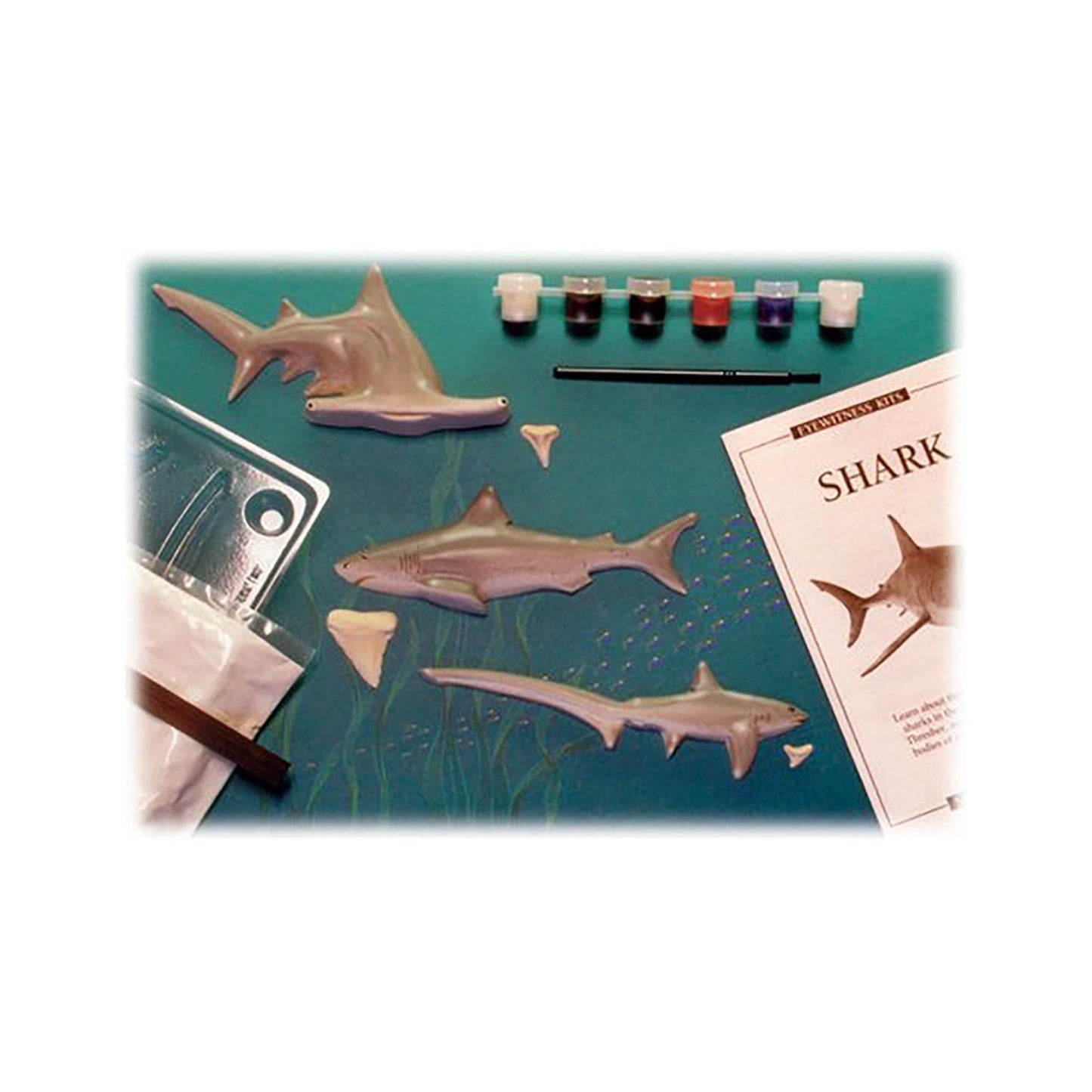 Skullduggery 0560 Shark Eyewitness Kit