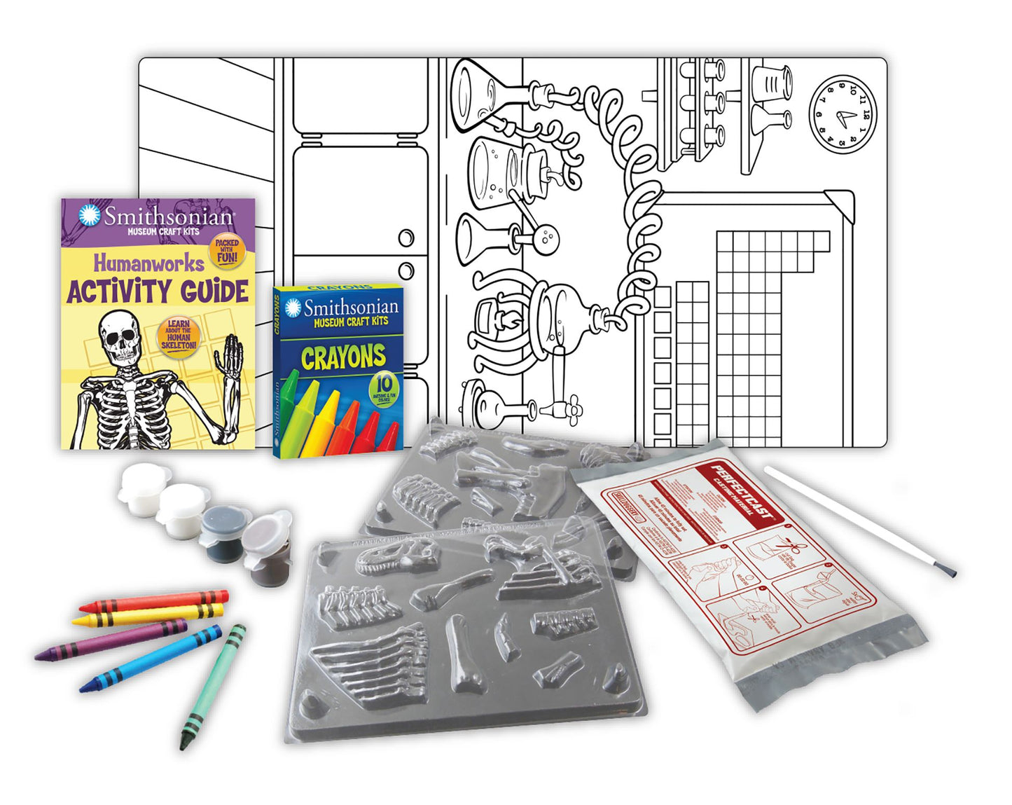 Smithsonian Museum Craft Kit - Human