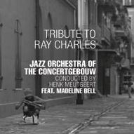 Tribute to Ray Charles
