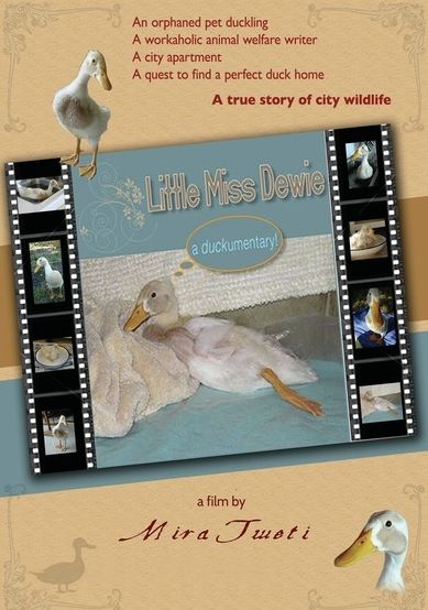 Little Miss Dewie: A Duckumentary