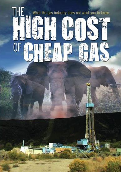 The High Cost of Cheap Gas