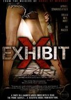 Exhibit X