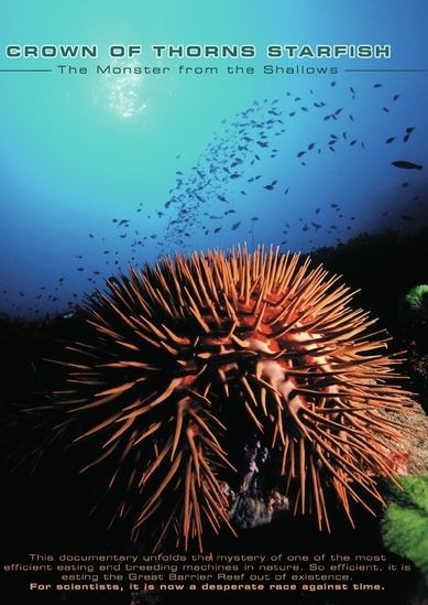 Crown Of Thorns Starfish: Monster From Shallows