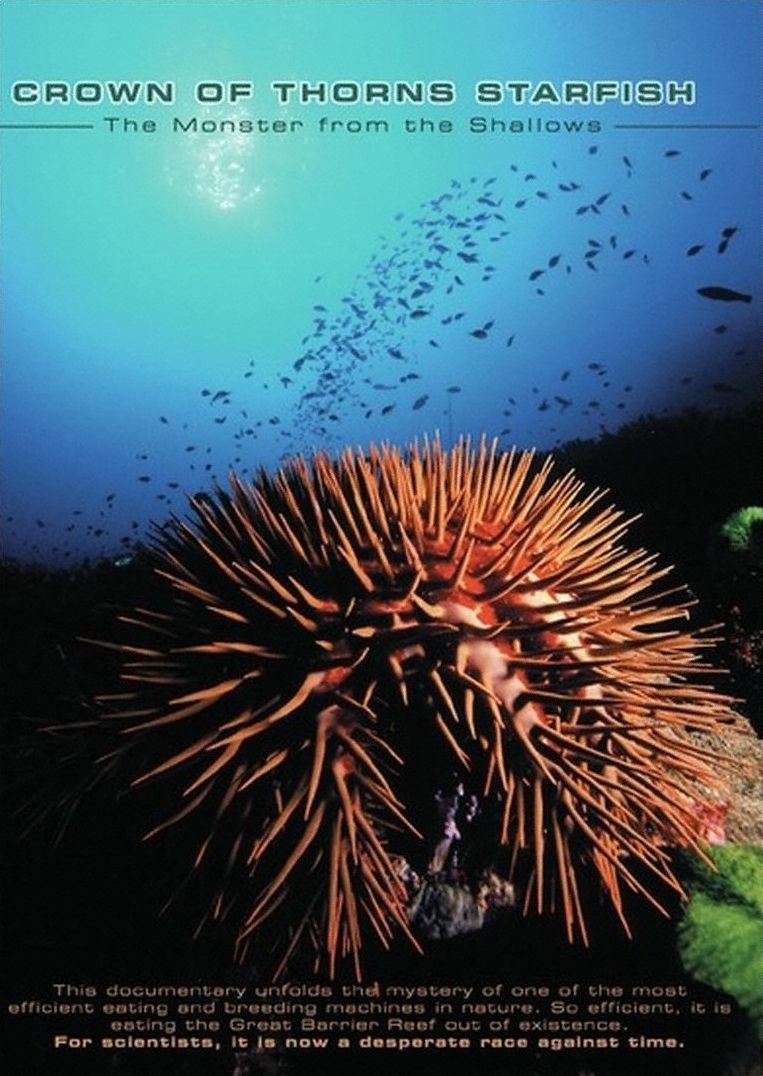 Crown Of Thorns Starfish: Monster From Shallows