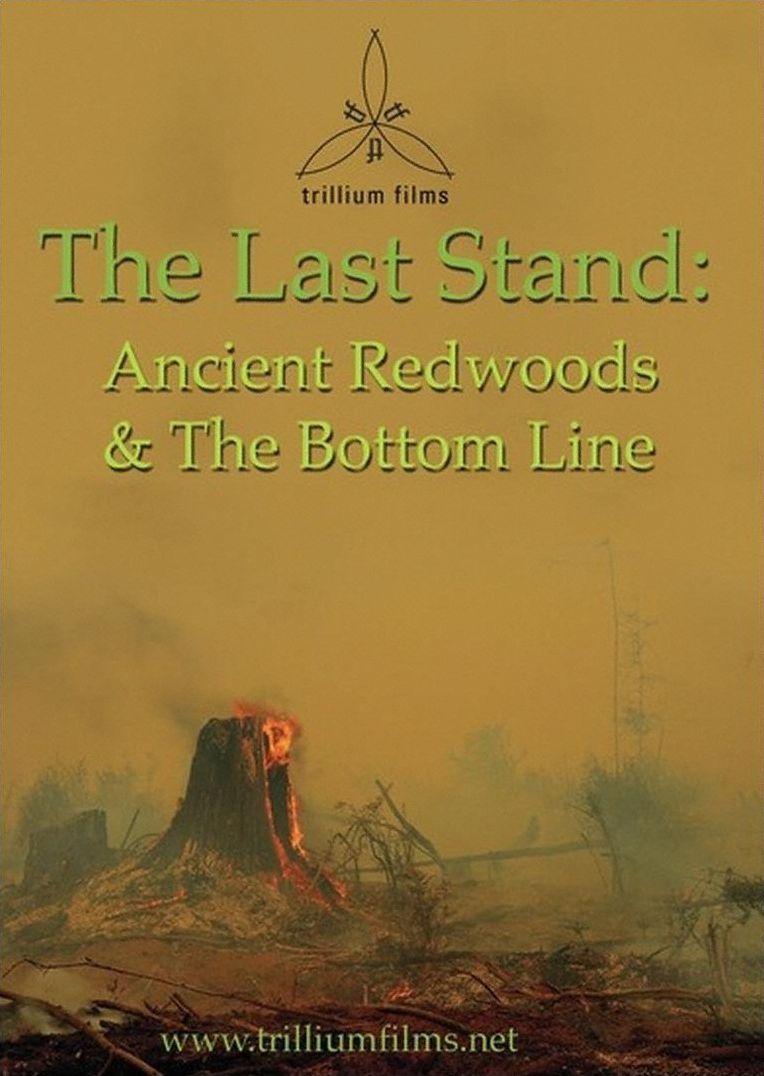 Last Stand: Ancient Redwoods & The Bottom Line