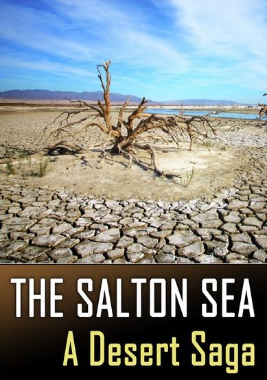 The Salton Sea: A Desert Saga