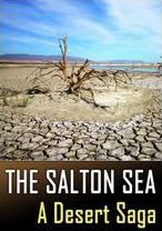 The Salton Sea: A Desert Saga
