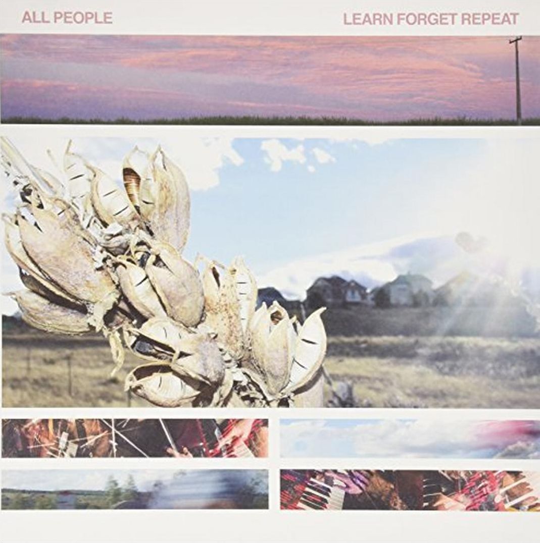 Learn Forget Repeat!