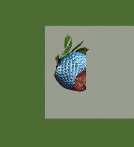 Mascot