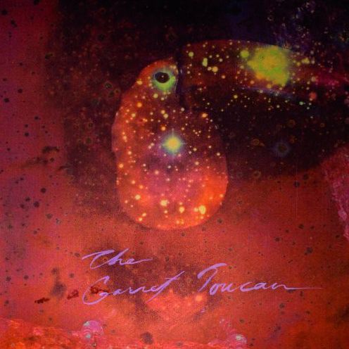 The Gamet Toucan