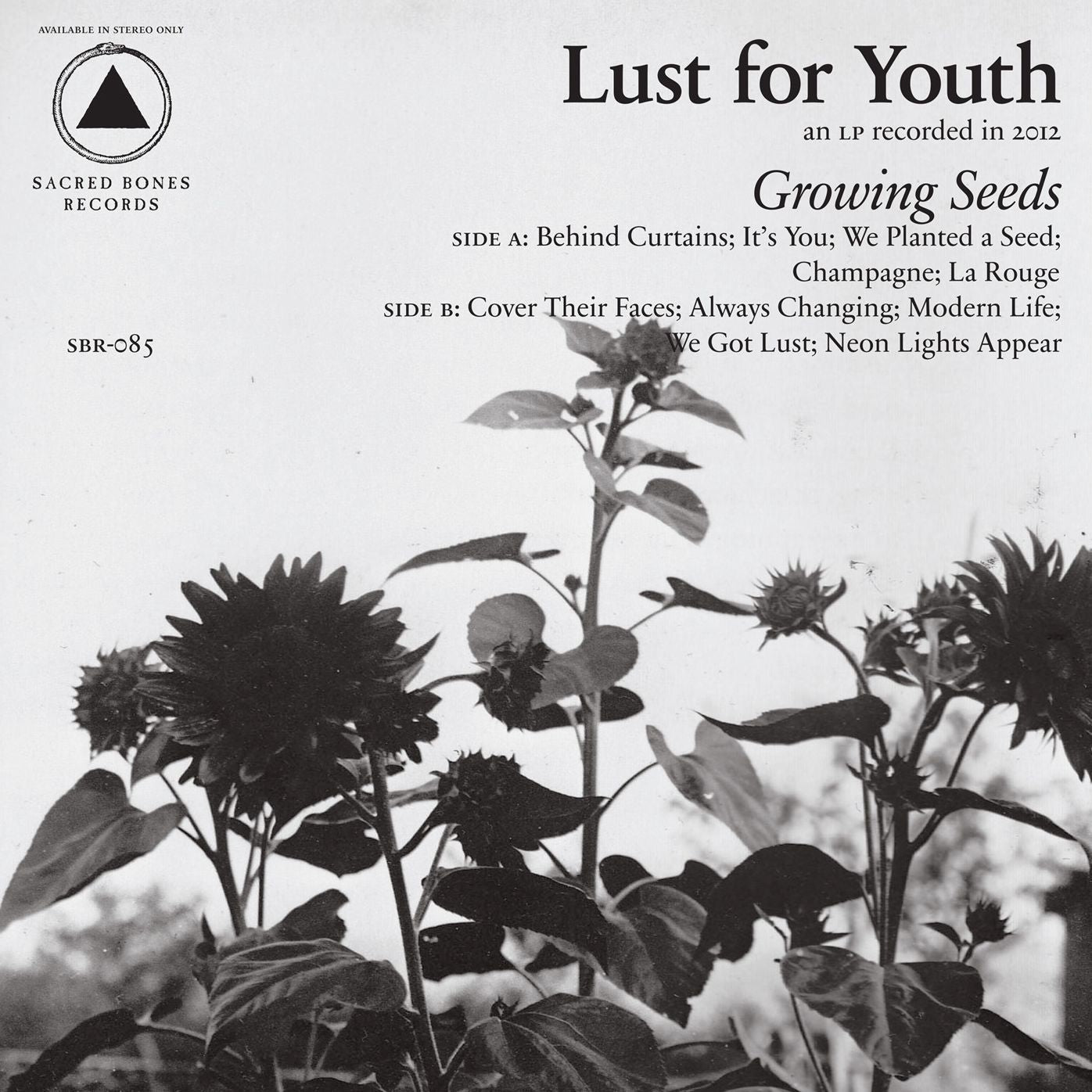 Growing Seeds