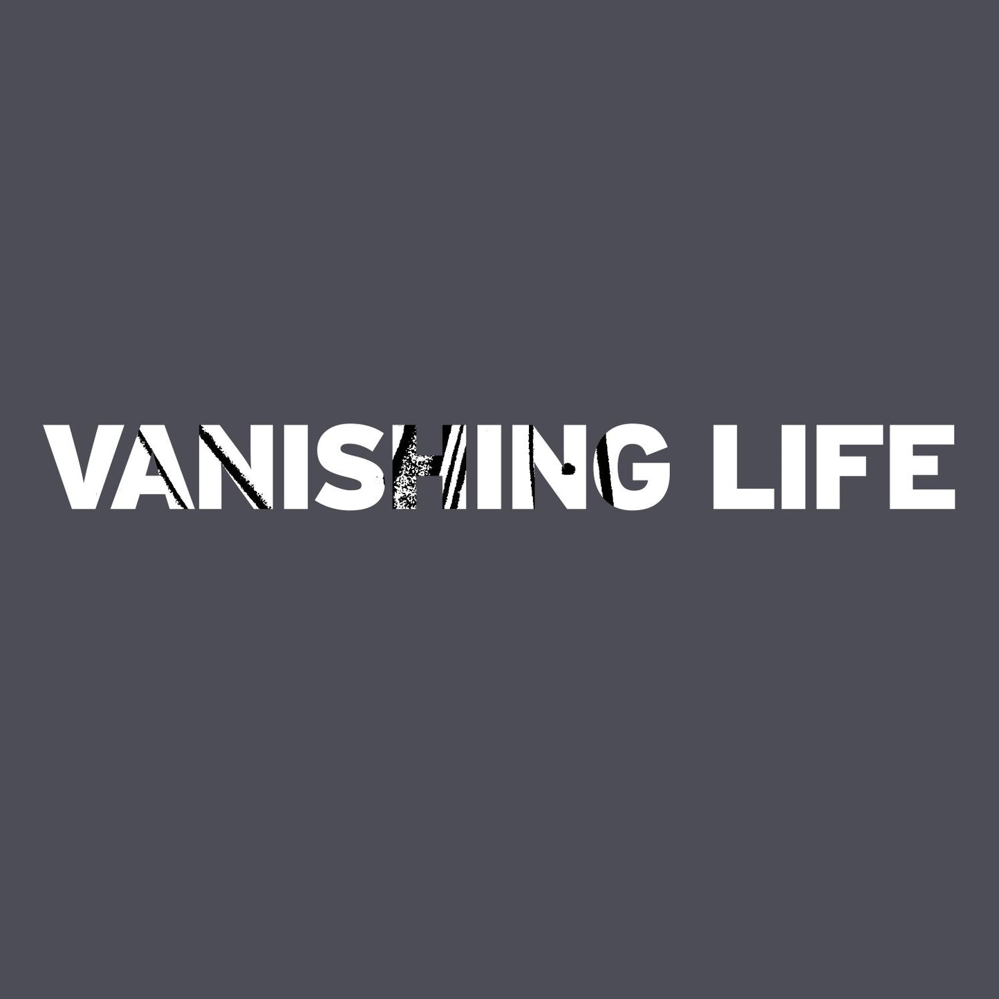 People Running/vanishing Life