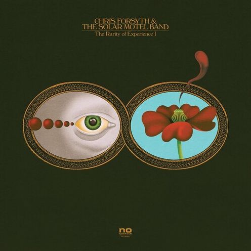 Rarity of Experience [LP]