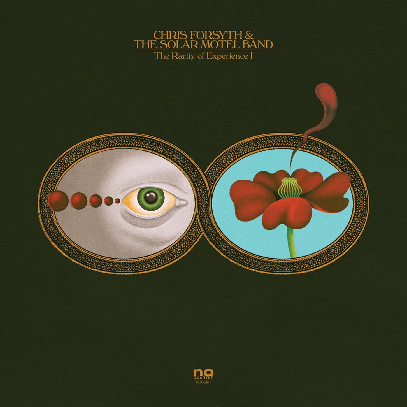 Rarity of Experience [LP]