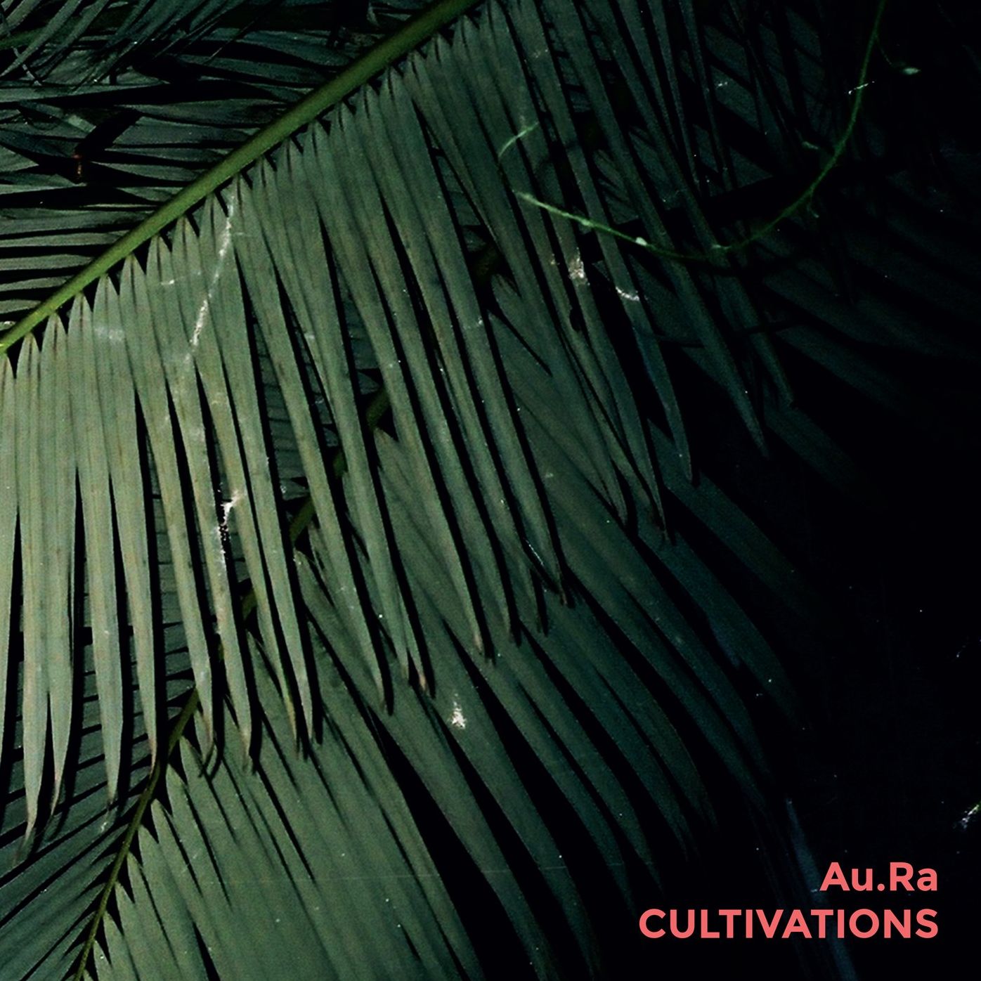 Cultivations [Lp]