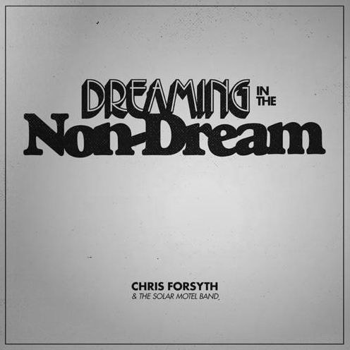 Dreaming In The Non-dream