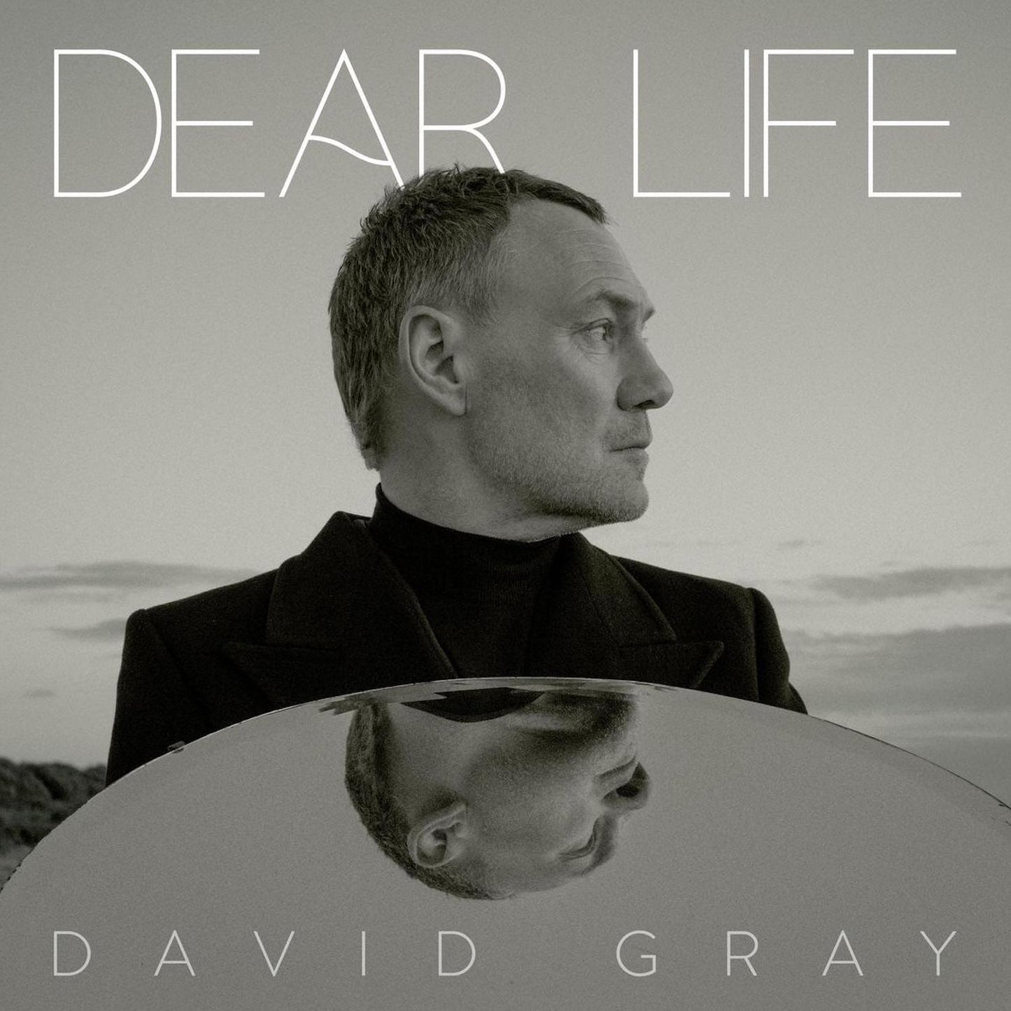 Dear Life (David Gray)