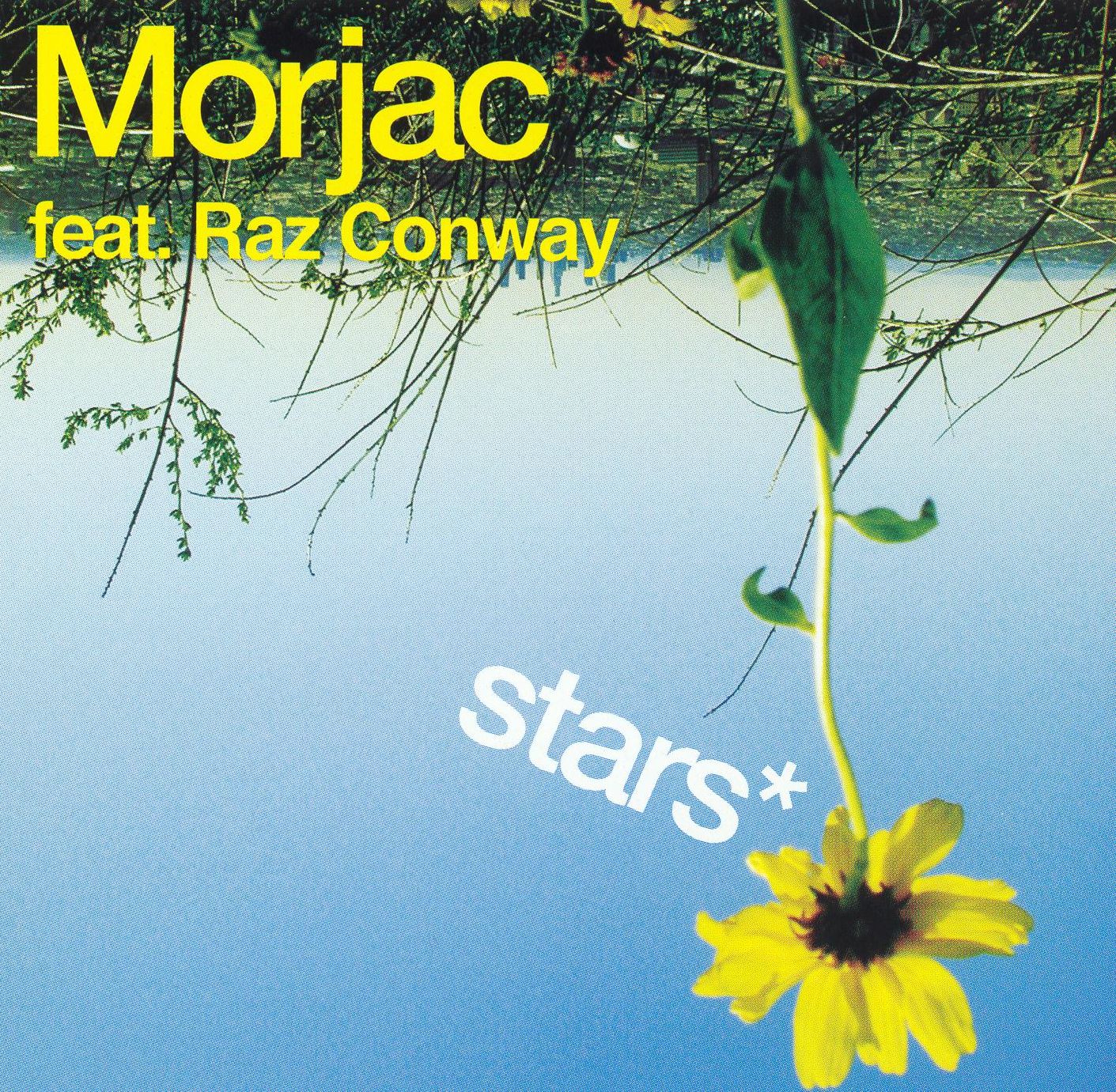 Stars