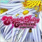 Electric Daisy Carnival Experience