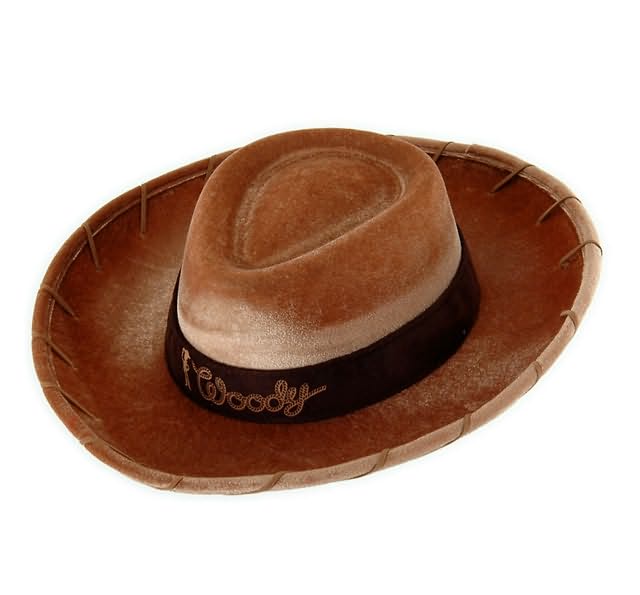 Toy Story - Woody Hat Child Costume Accessory