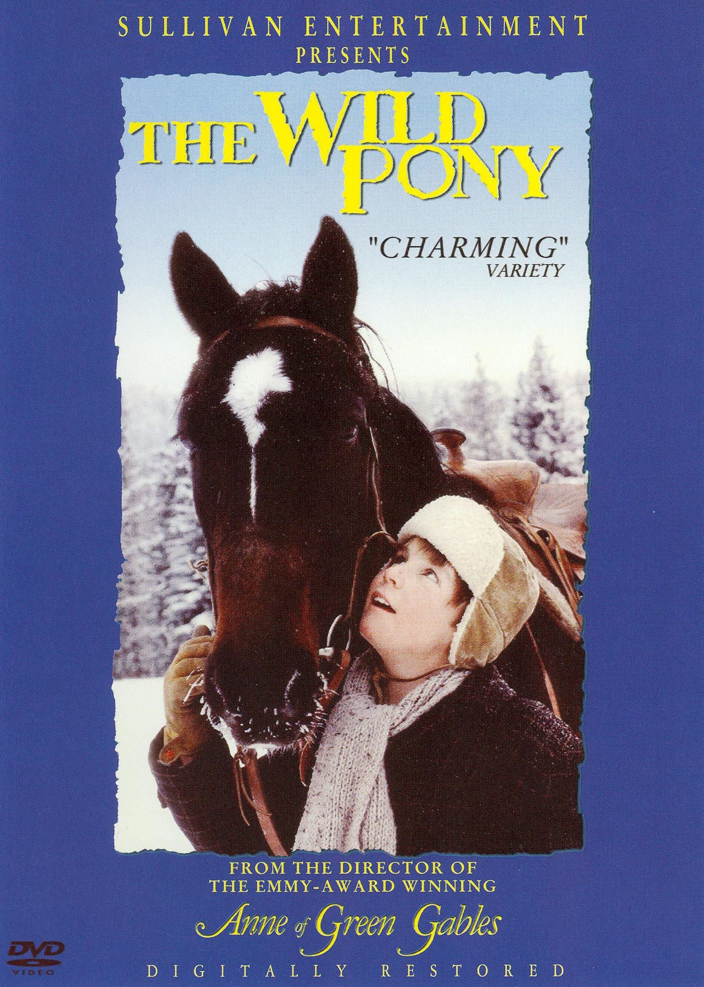 The Wild Pony