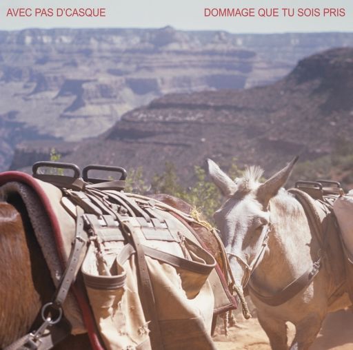 Dommage Que Tu Sois Pris EP