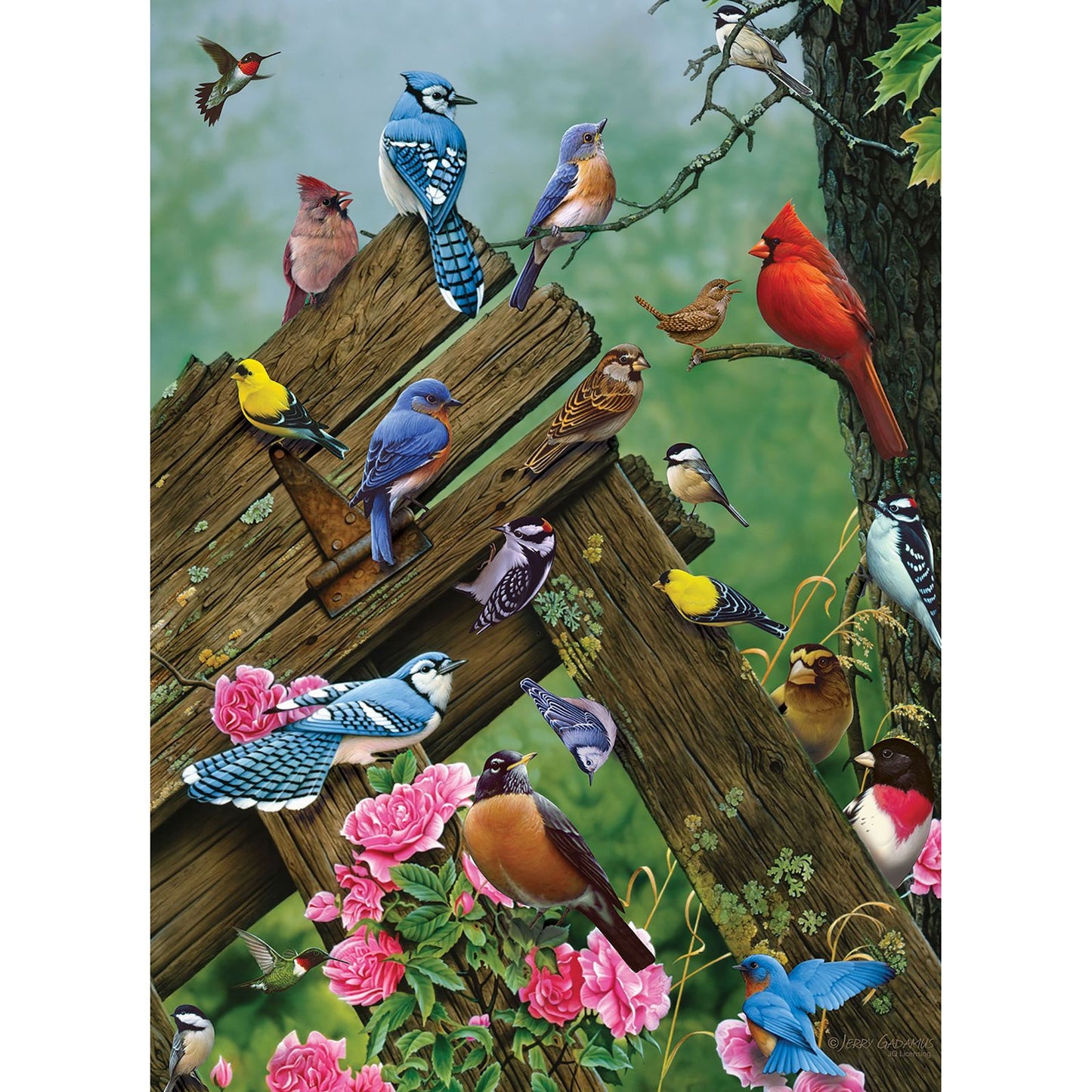 Cobble Hill: Birds of the Forest 1000 Piece Jigsaw Puzzle