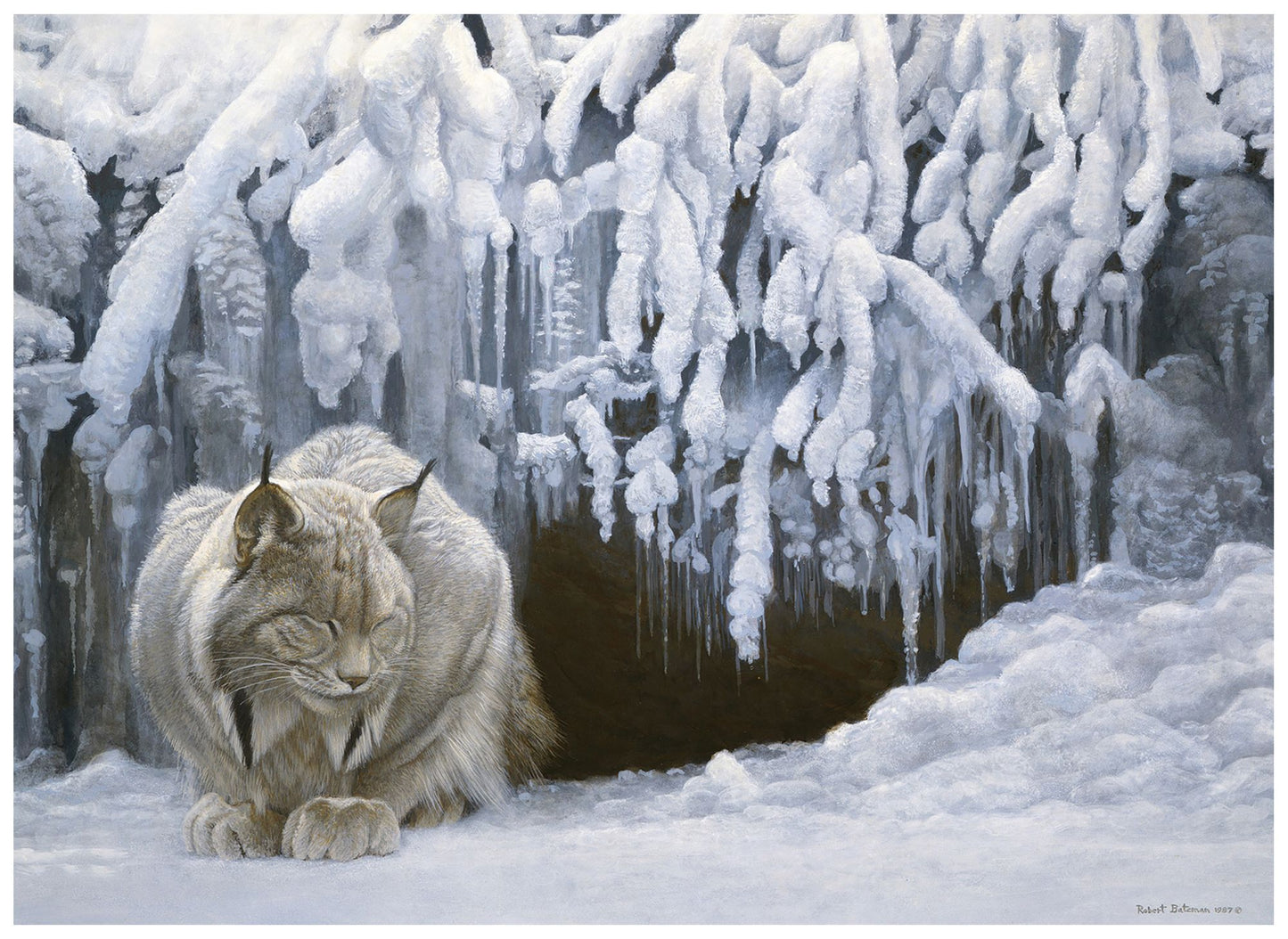 Cobble Hill: Dozing Lynx 1000 Piece Jigsaw Puzzle