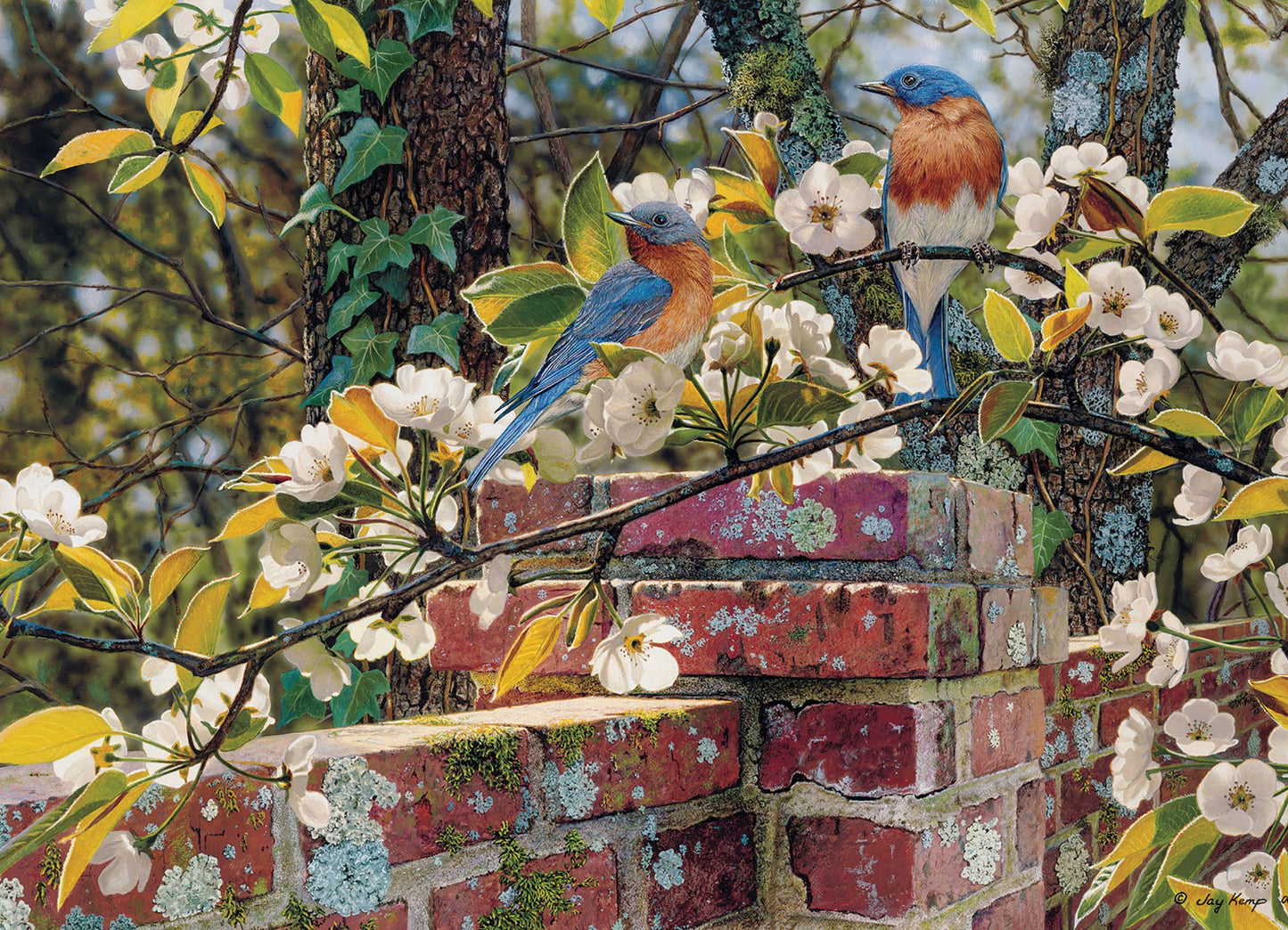Cobble Hill Backyard Blues Puzzles - 1,000 Pieces