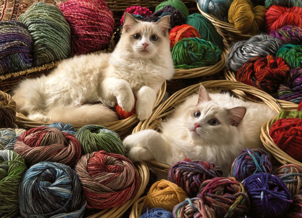 Ragdolls 1,000 pc puzzle