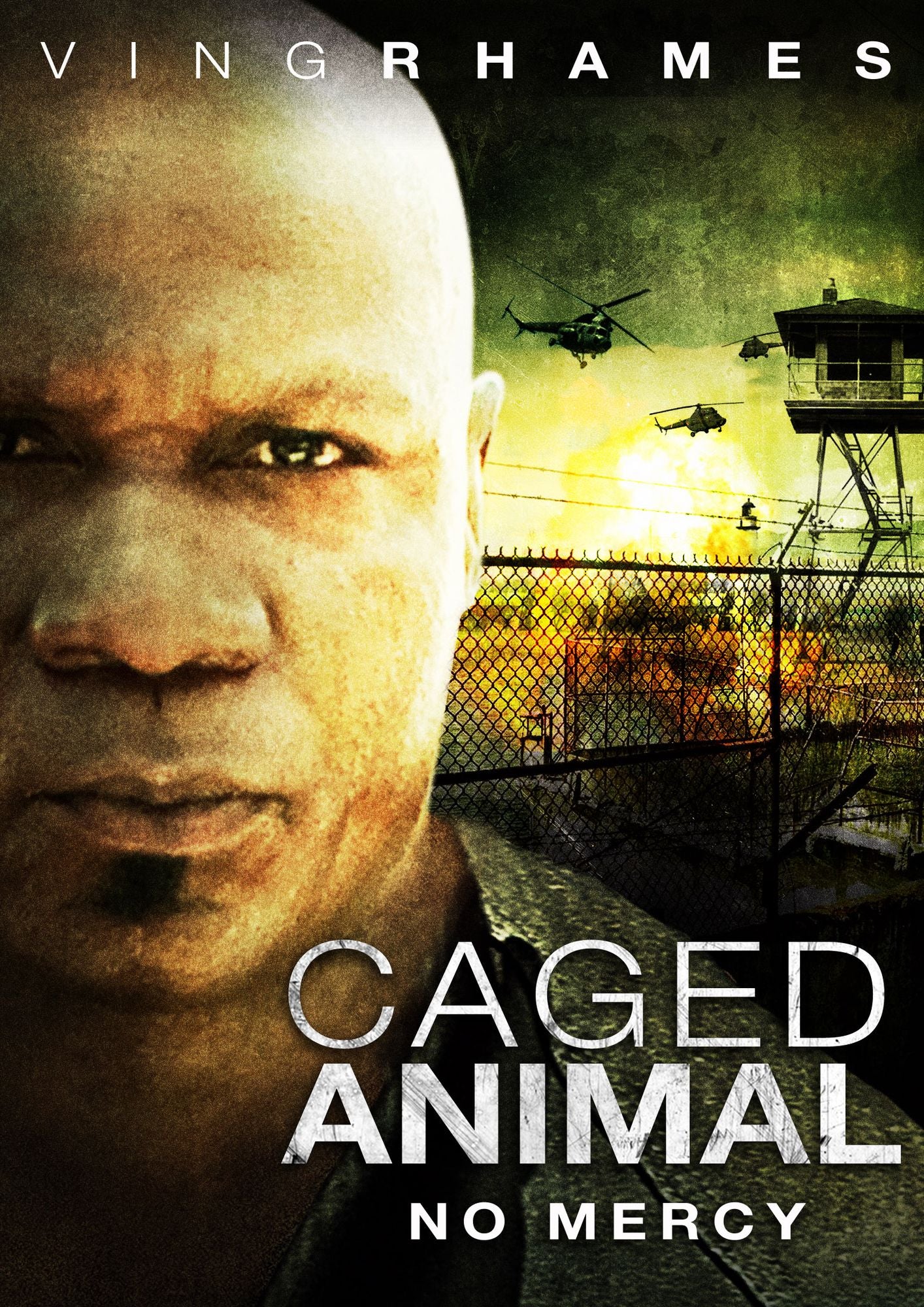 Caged Animal