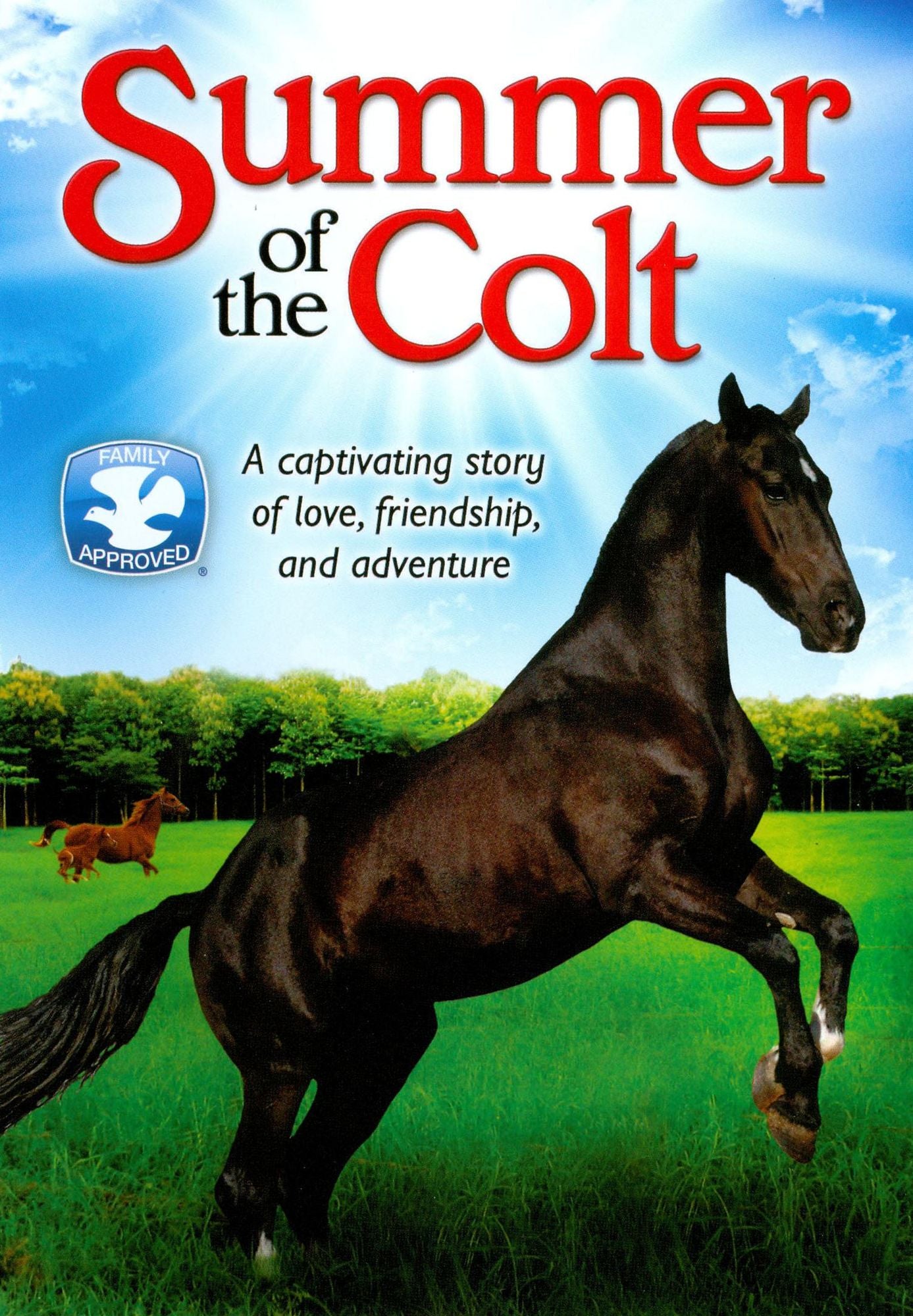 Summer of the Colt