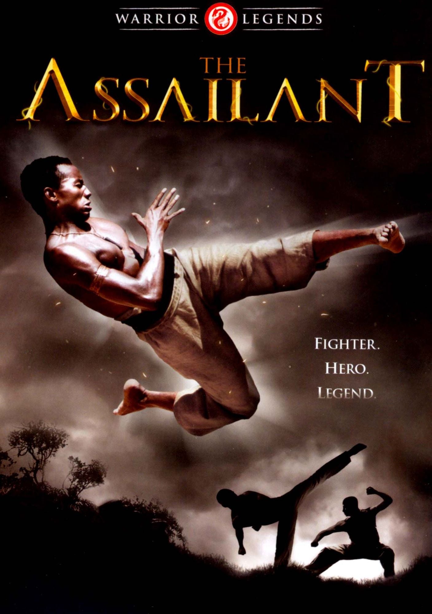The Assailant