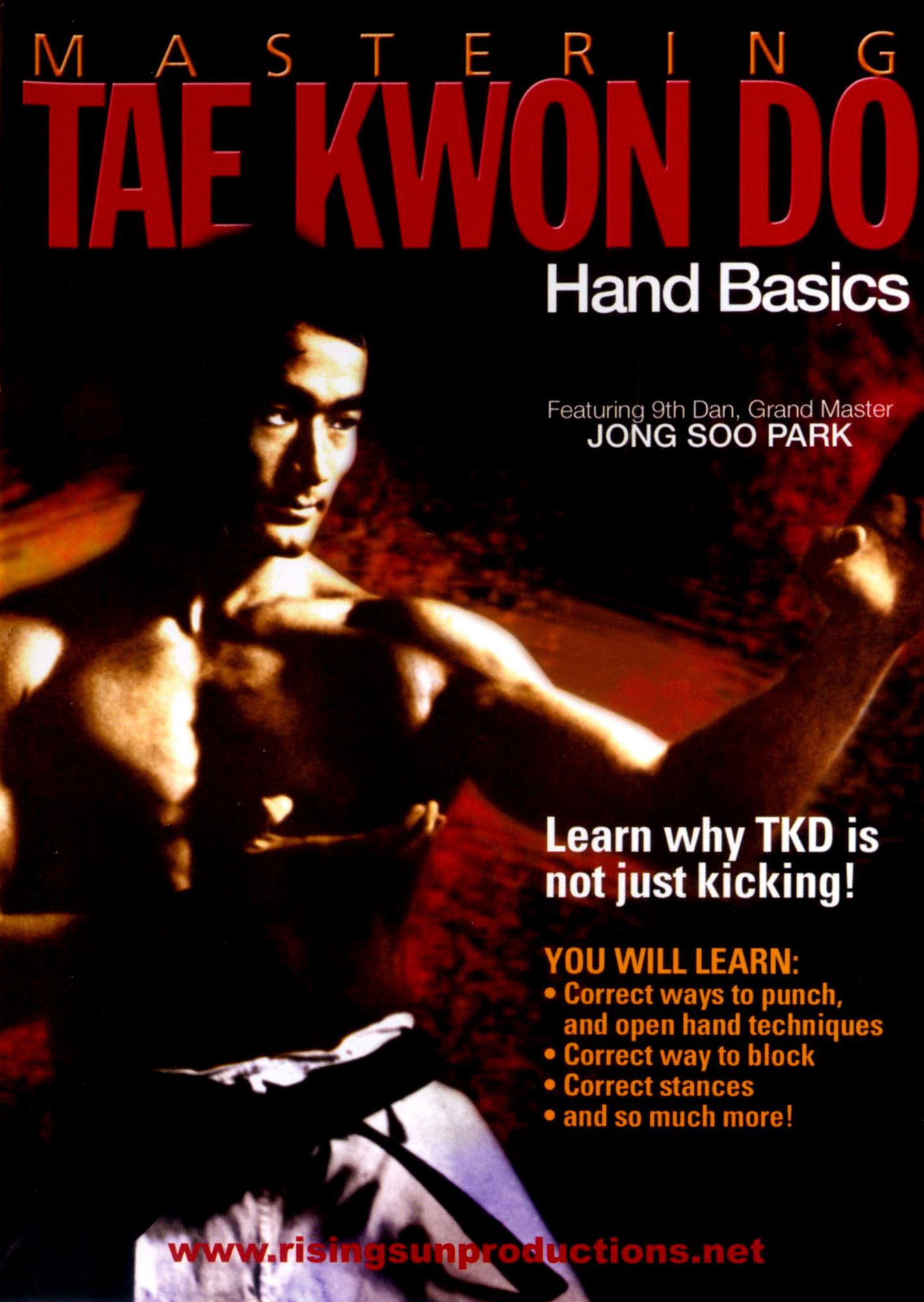 Mastering Tae Kwon Do: Hand Basics