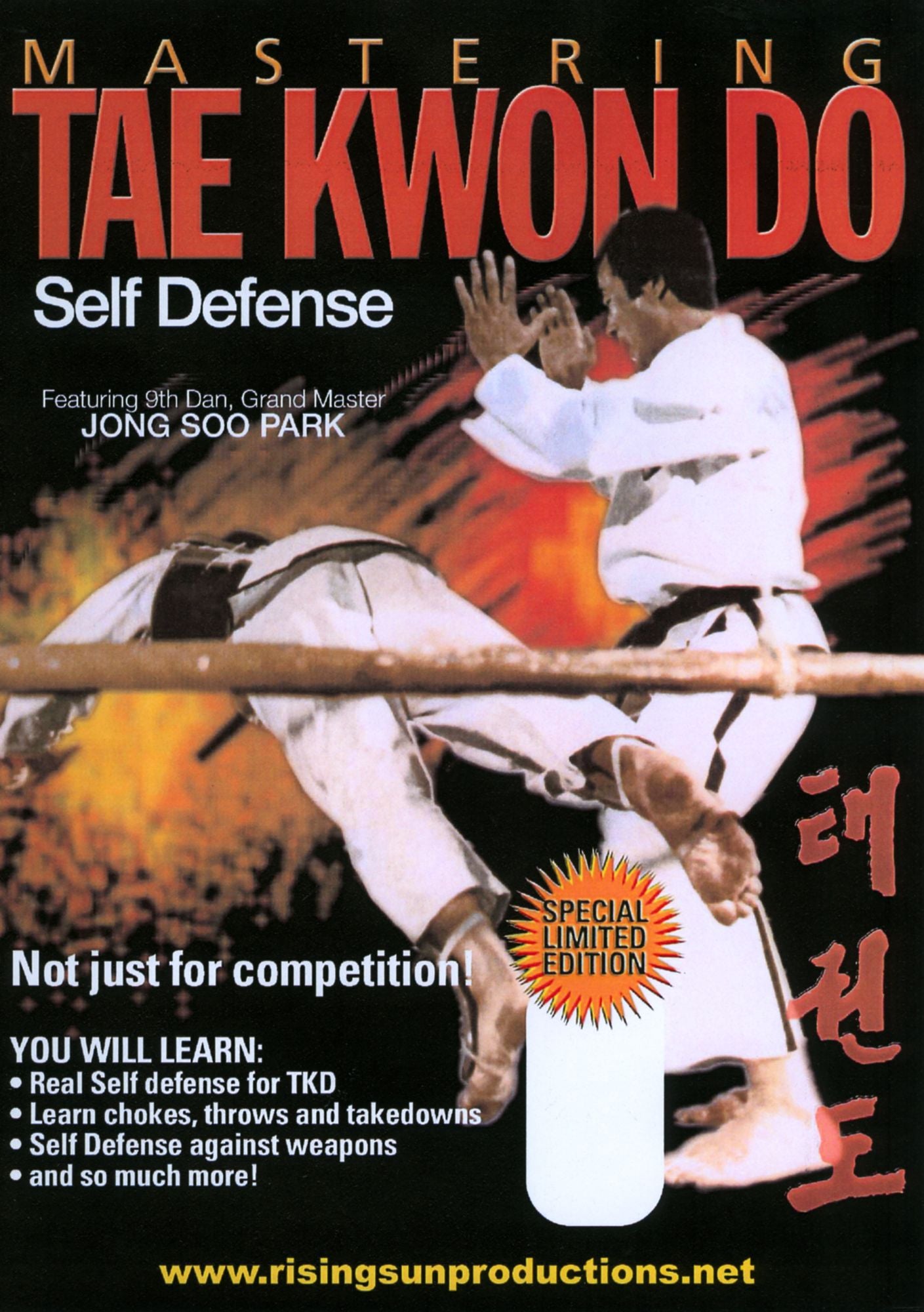Mastering Tae Kwon Do: Self Defense