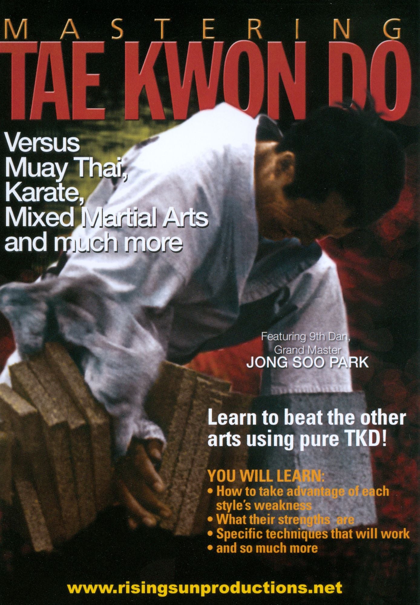 Mastering Tae Kwon Do: Versus Muay Thai, Karate, Mixed Martial Arts and Much More
