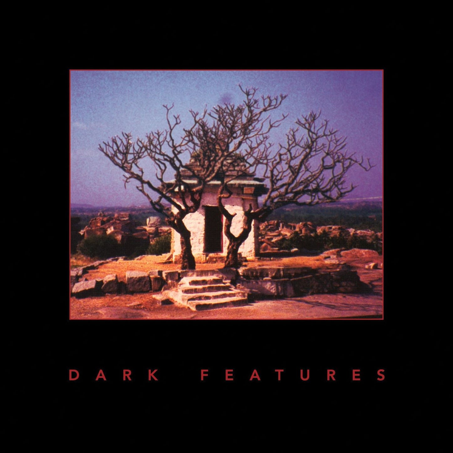 Dark Features [Colored Vinyl]