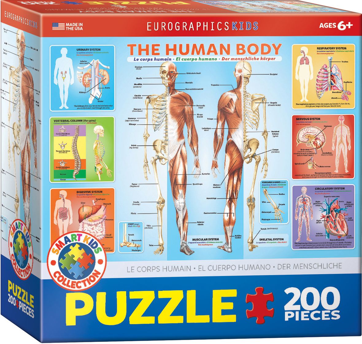 The Human Body 200 pc
