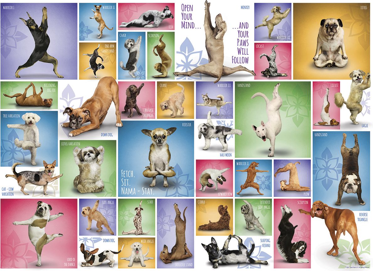 Yoga Dogs 1000 pc Puzzle
