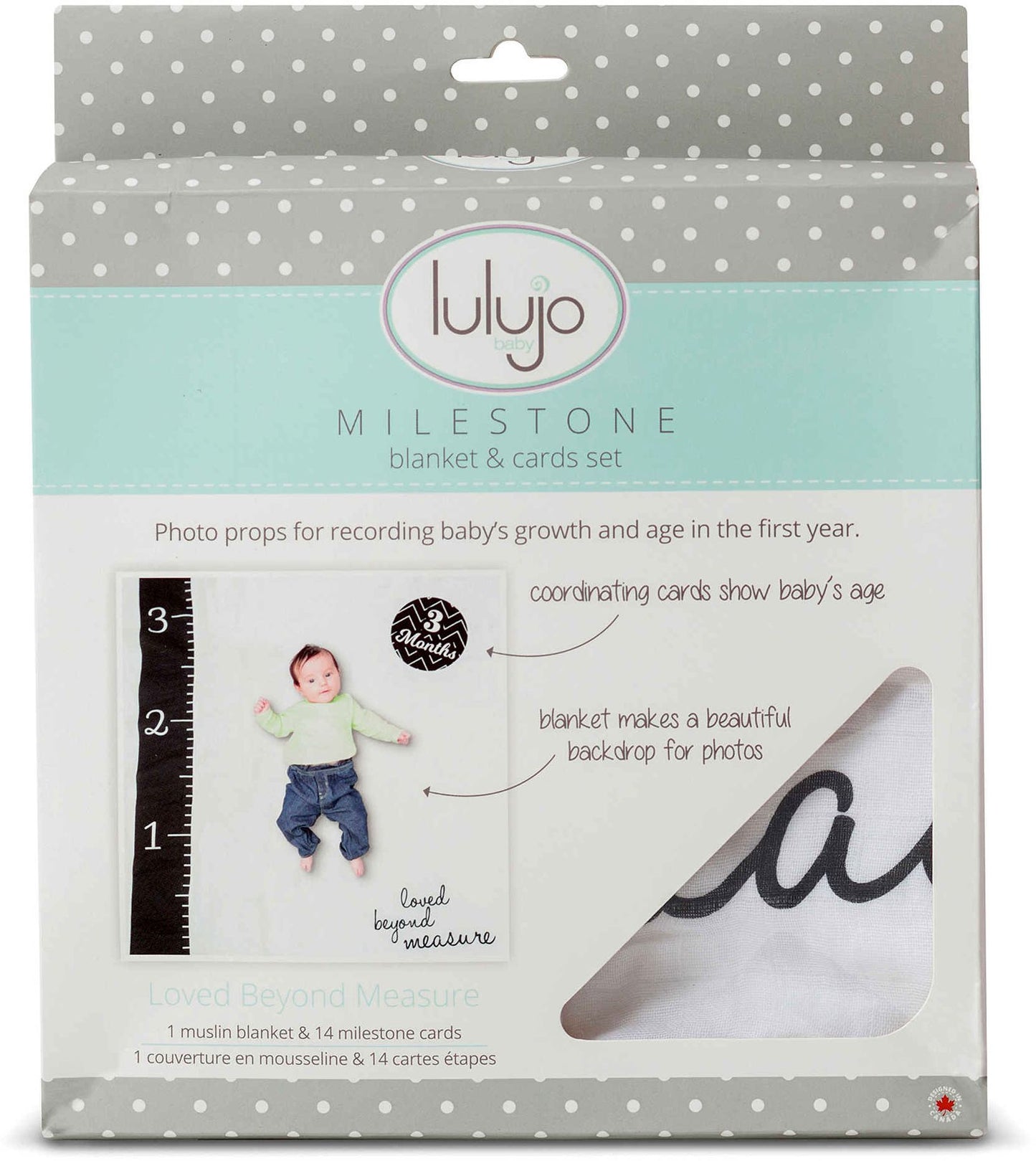 Baby's First Year Blanket/Cards - Loved Beyond Measure