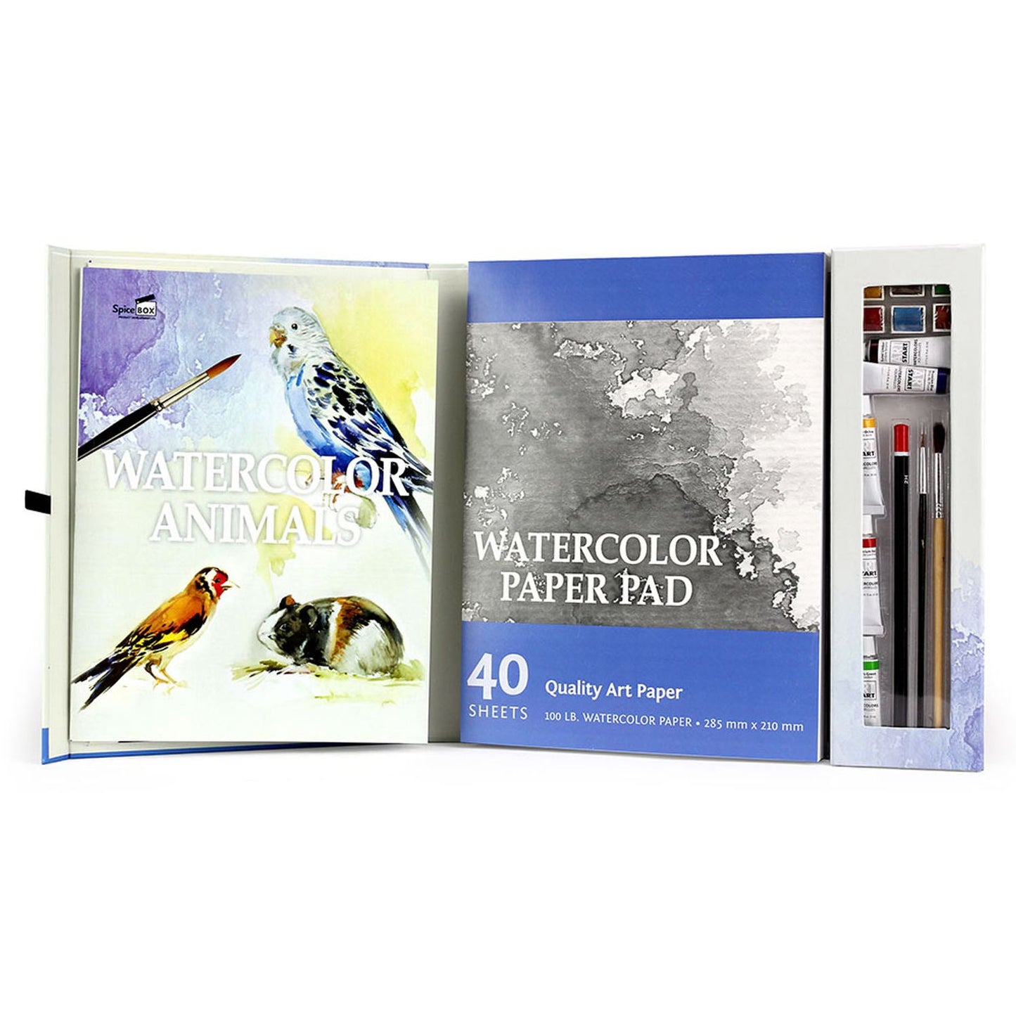 SpiceBox Master Class Paiting Watercolor Birds & Animals Kit