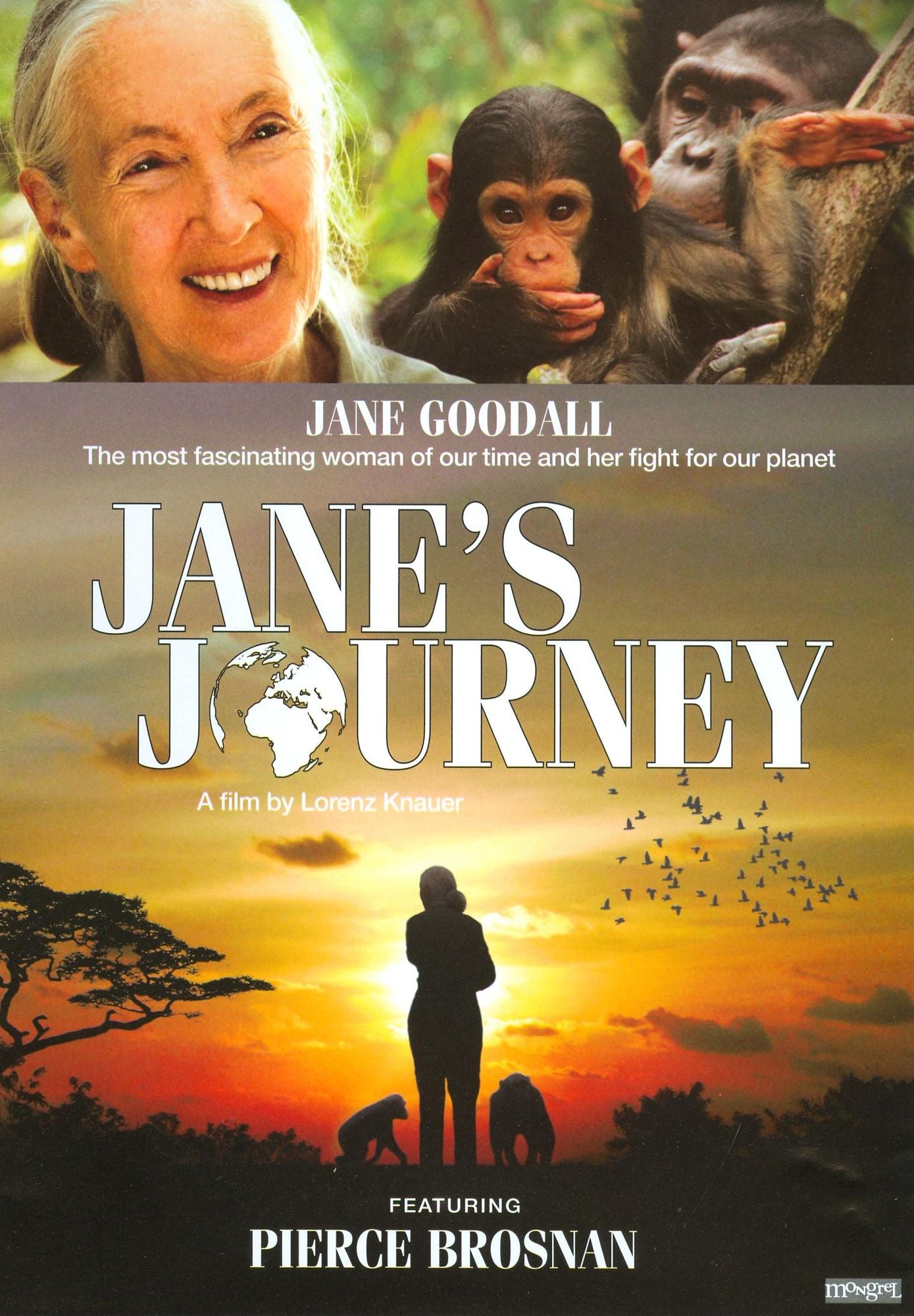 Jane's Journey