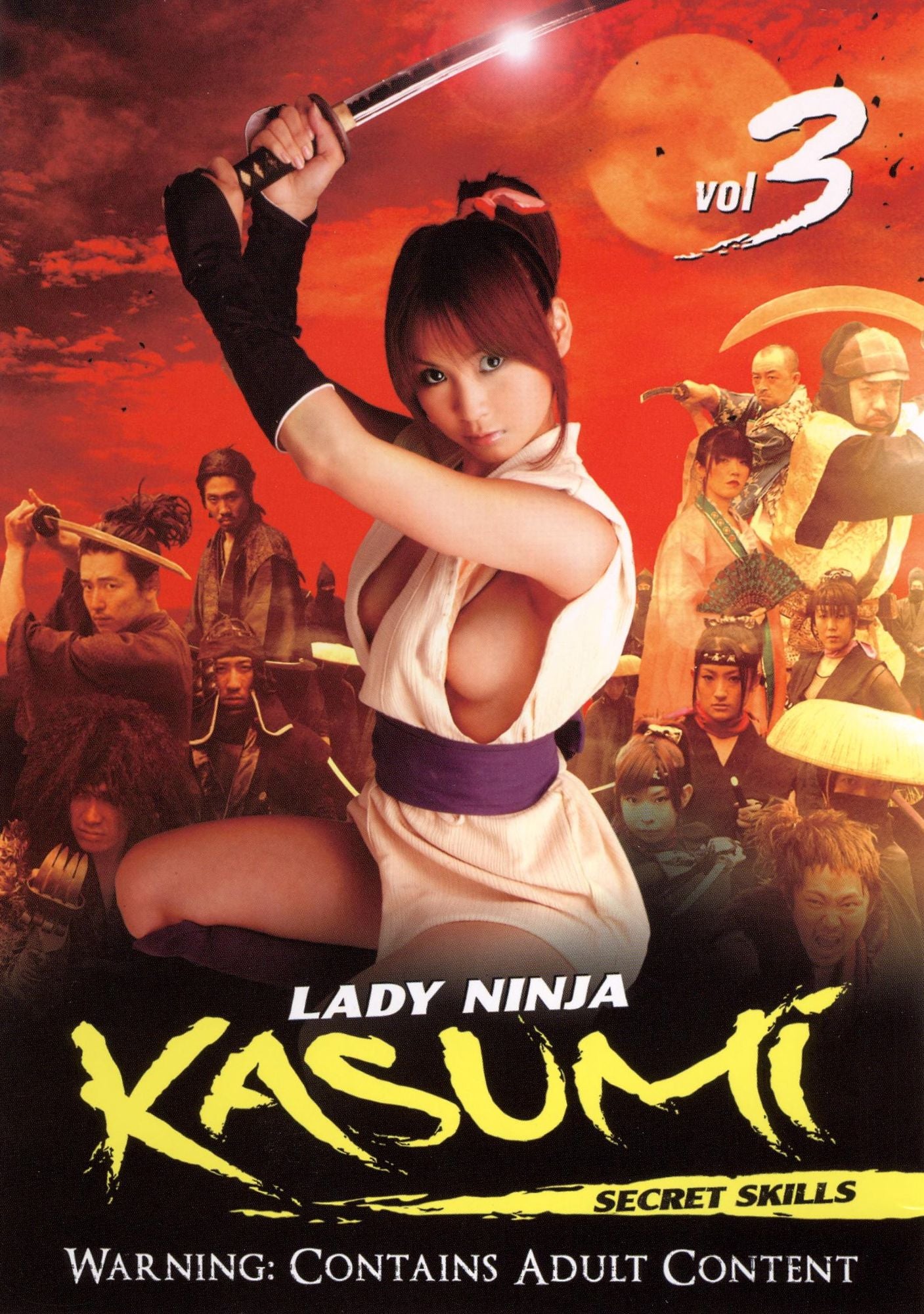Lady Ninja Kasumi, Vol. 3: Secret Skills