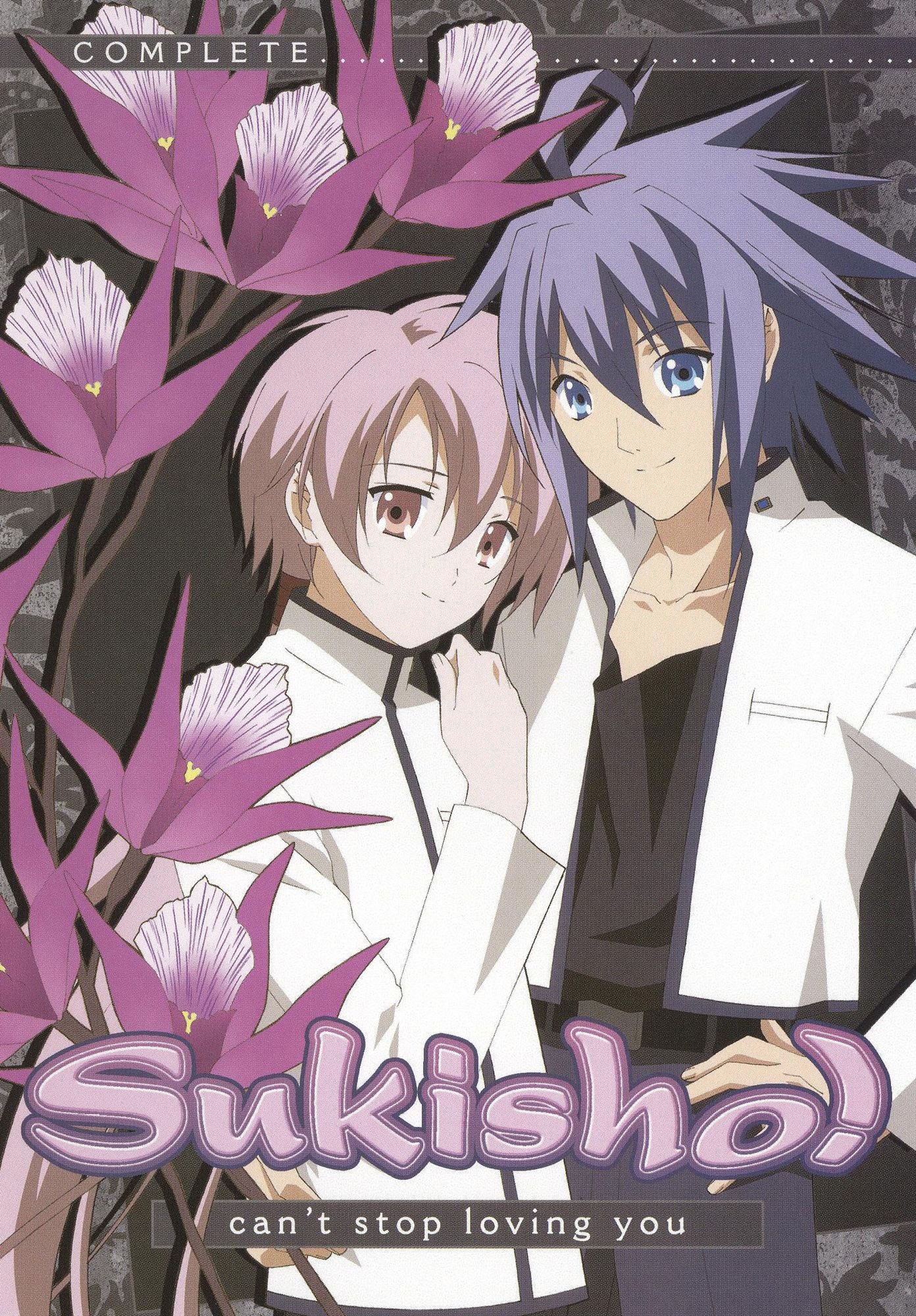 Sukisho: Complete [3 Discs]