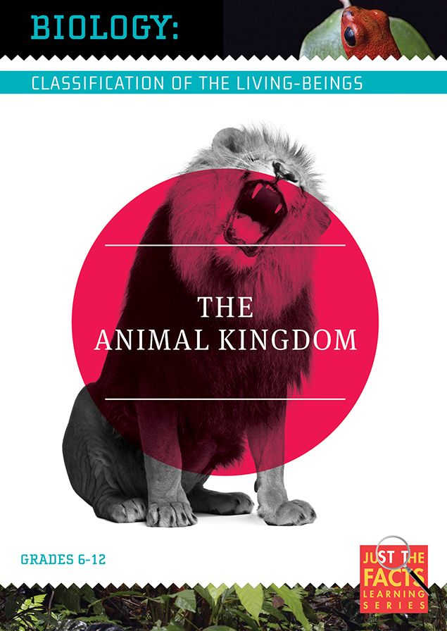 Biology Classification: The Animal Kingdom